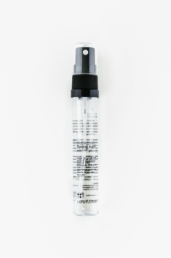 Toning Mist - Travel Size